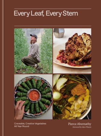 Every Leaf, Every Stem by Pierce Abernathy
